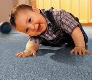 Photo of Best Carpet Care