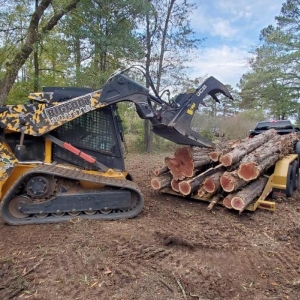 Photo of Bigfoot Forestry