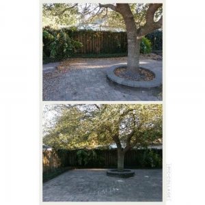 Jacksonville Candler lawn Service