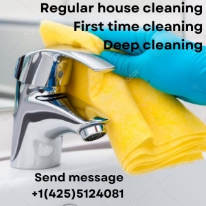 Everett Cleaning USA