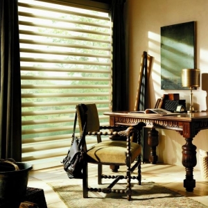 Photo of Hunter Douglas Blinds