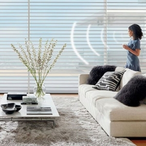 Photo of Hunter Douglas Blinds