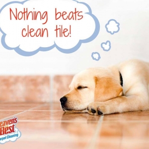 Photo of Heaven's Best Carpet Cleaning