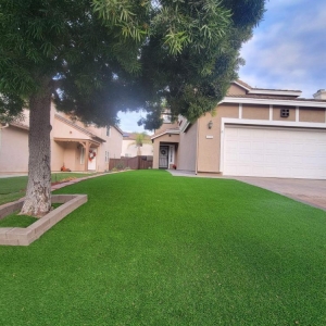 Photo of Prime Landscape & Construction