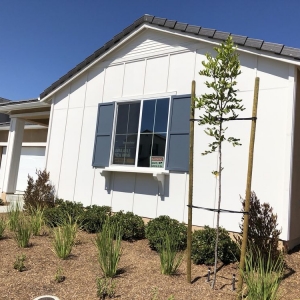 Photo of Eugene Colt Property Management