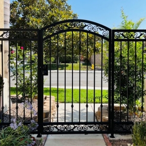Photo of Mex Iron Artwork