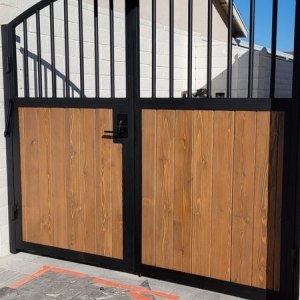 Photo of Mex Iron Artwork