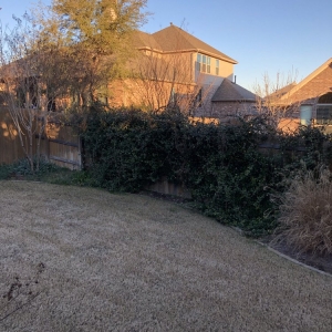 Photo of Century Lawn and Landscape