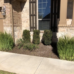 Photo of Century Lawn and Landscape