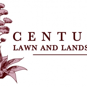 Photo of Century Lawn and Landscape
