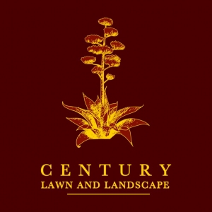 Photo of Century Lawn and Landscape
