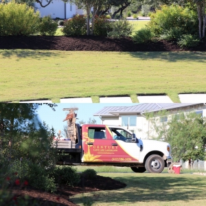 Photo of Century Lawn and Landscape