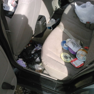 Photo of Cal & His Dog Spot Auto Detailing
