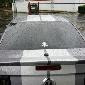 Photo of Cal & His Dog Spot Auto Detailing