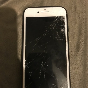 Photo of Cellular Necessities
