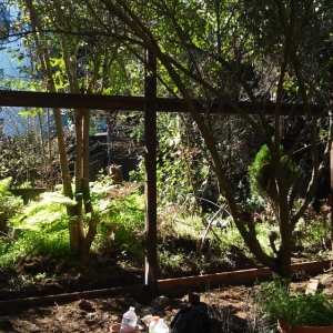 Photo of Affordable Fencing and Gardening