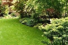 Photo of Lockwood Lawn Maintenance