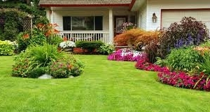 Photo of Lockwood Lawn Maintenance
