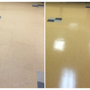 Photo of Night Owl Floor Services