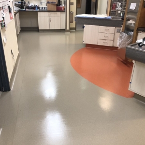 Photo of Night Owl Floor Services