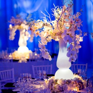 Photo of Amy Mancuso Events