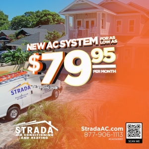 Jacksonville Strada Services