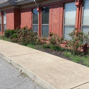 Photo of Trinity Lawn Care