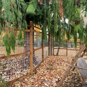 Photo of Island Handy