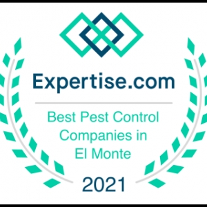 Photo of Already A Better Choice Termite & Pest Control