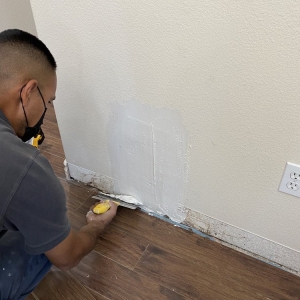 Photo of Already A Better Choice Termite & Pest Control