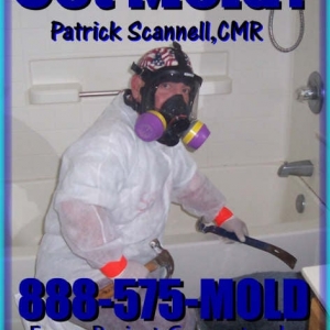 Photo of The Mold Warriors