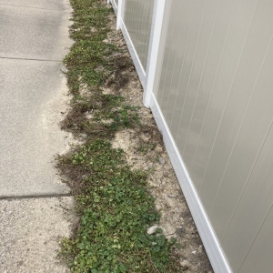 Photo of T Buell's Superior Fence