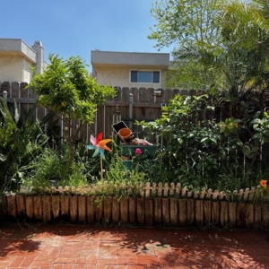 Photo of Pilo Landscaping and Maintenance