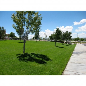 Photo of Will-Seal Asphalt Maintenance