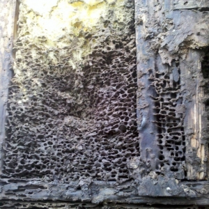 Photo of Chumley Structural & Foundation Repair