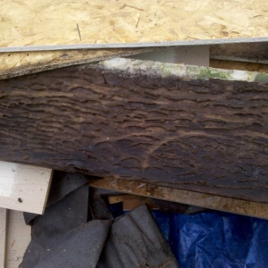 Photo of Chumley Structural & Foundation Repair