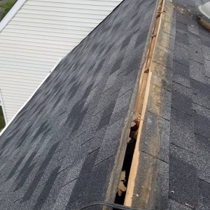 Photo of Gutter Â Cleaning Service