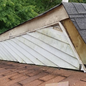 Photo of Gutter Â Cleaning Service