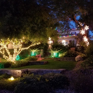 Photo of Las Vegas Holiday Lighting
