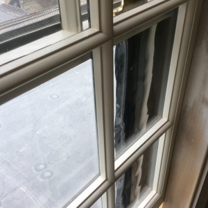 Photo of Wood Window Repair and Restoration