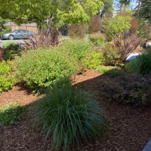 Photo of Grimes Natural Landscape