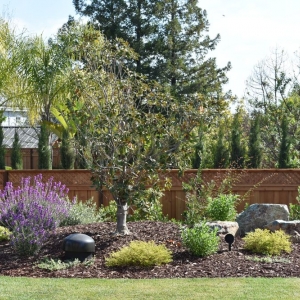 Photo of Grimes Natural Landscape