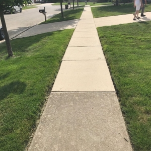 Photo of Bee Clean Pressure Wash
