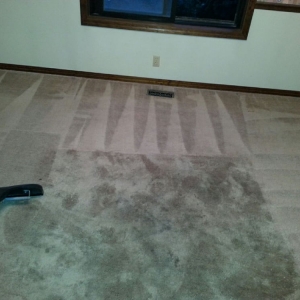 Photo of Complete Carpet Cleaning