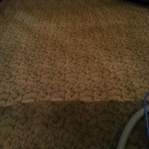 Photo of Complete Carpet Cleaning