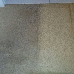 Photo of Complete Carpet Cleaning