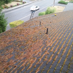 Photo of Salmon Bay Window Cleaning