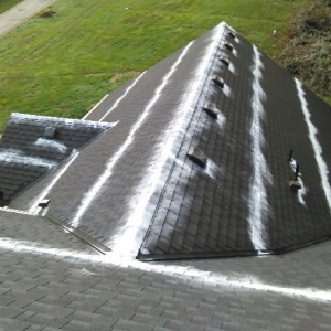 Photo of Salmon Bay Window Cleaning