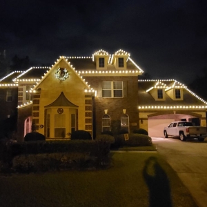 Photo of Texans Home and Commercial Services