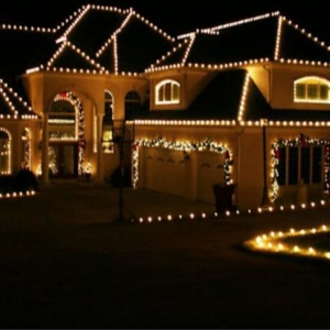 Photo of Texans Home and Commercial Services